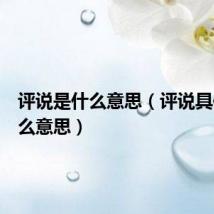 评说是什么意思(评说具体是什么意思)