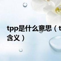 tpp是什么意思(tpp的含义)