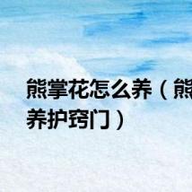 熊掌花怎么养（熊掌花养护窍门）