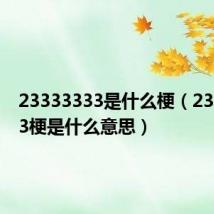 23333333是什么梗(23333333梗是什么意思)