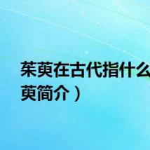 茱萸在古代指什么（茱萸简介）