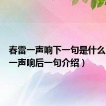 春雷一声响下一句是什么(春雷一声响后一句介绍)