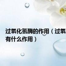 过氧化氢酶的作用(过氧化氢酶有什么作用)