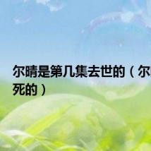 尔晴是第几集去世的(尔晴怎么死的)