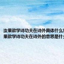 汝果欲学诗功夫在诗外具体什么意思(汝果欲学诗功夫在诗外的意思是什么)