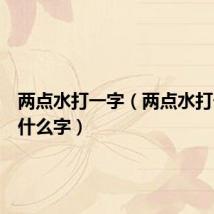 两点水打一字(两点水打一字是什么字)