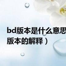 bd版本是什么意思(bd版本的解释)
