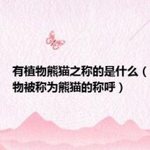 有植物熊猫之称的是什么(哪些植物被称为熊猫的称呼)