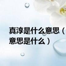 真淳是什么意思(真淳意思是什么)