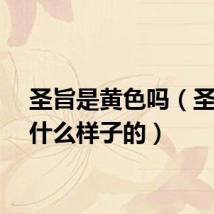 圣旨是黄色吗（圣旨是什么样子的）