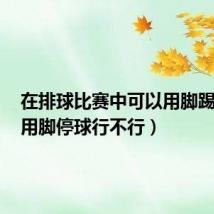在排球比赛中可以用脚踢球吗（用脚停球行不行）