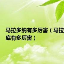 马拉多纳有多厉害(马拉多纳到底有多厉害)
