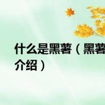 什么是黑薯（黑薯简单介绍）