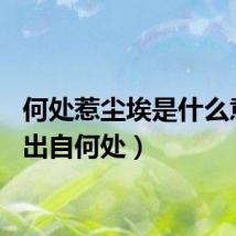 何处惹尘埃是什么意思（出自何处）