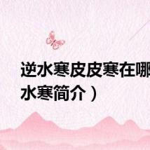 逆水寒皮皮寒在哪(逆水寒简介)
