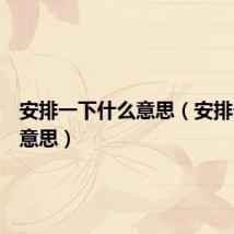 安排一下什么意思(安排一下的意思)