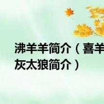 沸羊羊简介(喜羊羊与灰太狼简介)