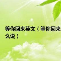等你回来英文(等你回来英语怎么说)
