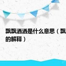 飘飘洒洒是什么意思（飘飘洒洒的解释）