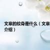 文章的纹身是什么（文章的纹身介绍）