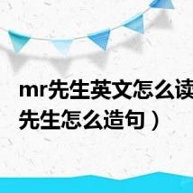 mr先生英文怎么读(mr先生怎么造句)