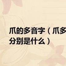 爪的多音字（爪多音字分别是什么）