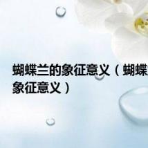 蝴蝶兰的象征意义(蝴蝶兰有何象征意义)