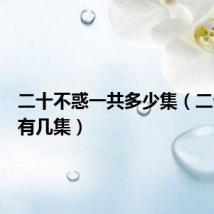 二十不惑一共多少集(二十不惑有几集)