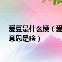 爱豆是什么梗(爱豆的意思是啥)