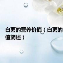 白薯的营养价值(白薯的营养价值简述)