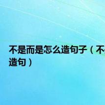 不是而是怎么造句子(不是而是造句)