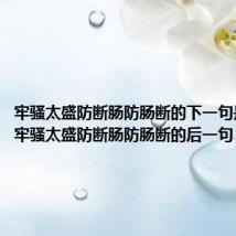 牢骚太盛防断肠防肠断的下一句是什么(牢骚太盛防断肠防肠断的后一句)