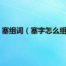 塞组词（塞字怎么组词）