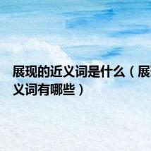 展现的近义词是什么(展现的近义词有哪些)
