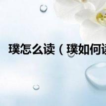 璞怎么读（璞如何读）
