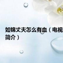 如锦丈夫怎么有血(电视剧如锦简介)