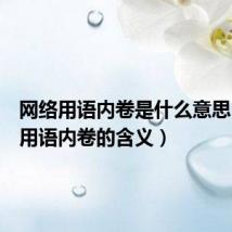 网络用语内卷是什么意思(网络用语内卷的含义)