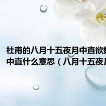 杜甫的八月十五夜月中直欲数秋毫中直什么意思(八月十五夜月原文)