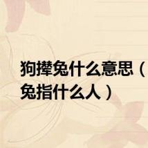 狗撵兔什么意思（狗撵兔指什么人）