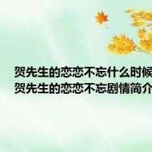 贺先生的恋恋不忘什么时候播出(贺先生的恋恋不忘剧情简介)