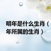 明年是什么生肖(2022年所属的生肖)