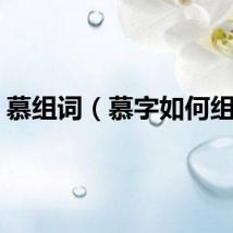 慕组词（慕字如何组词）