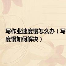 写作业速度慢怎么办(写作业速度慢如何解决)