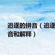 追逐的拼音（追逐的读音和解释）