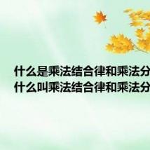 什么是乘法结合律和乘法分配律(什么叫乘法结合律和乘法分配律)