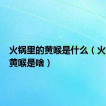 火锅里的黄喉是什么(火锅里的黄喉是啥)