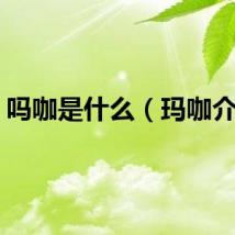 吗咖是什么（玛咖介绍）