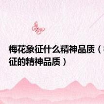 梅花象征什么精神品质(梅花象征的精神品质)