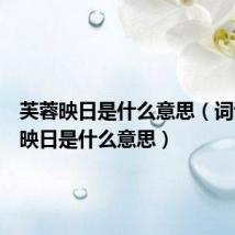 芙蓉映日是什么意思（词语芙蓉映日是什么意思）