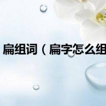 扁组词（扁字怎么组词）